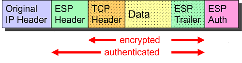 ESP Transport Mode Packet